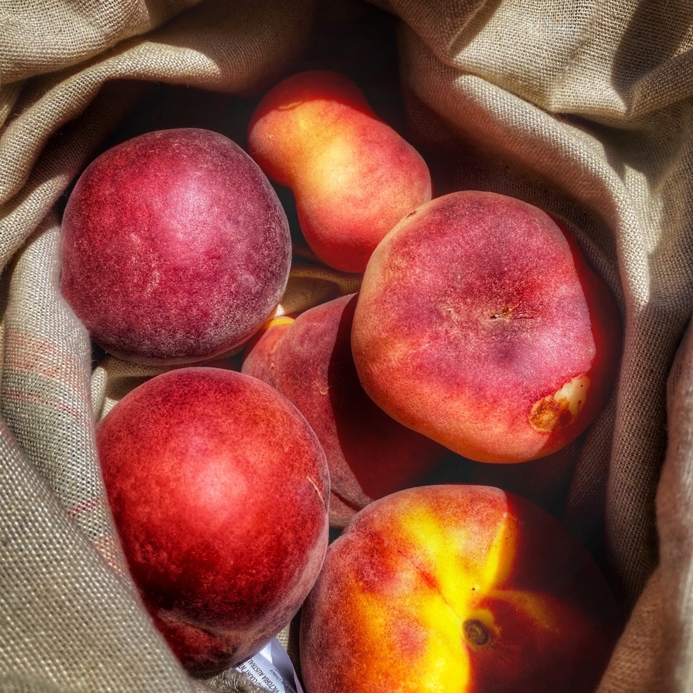 Meet your Posher, Raquel